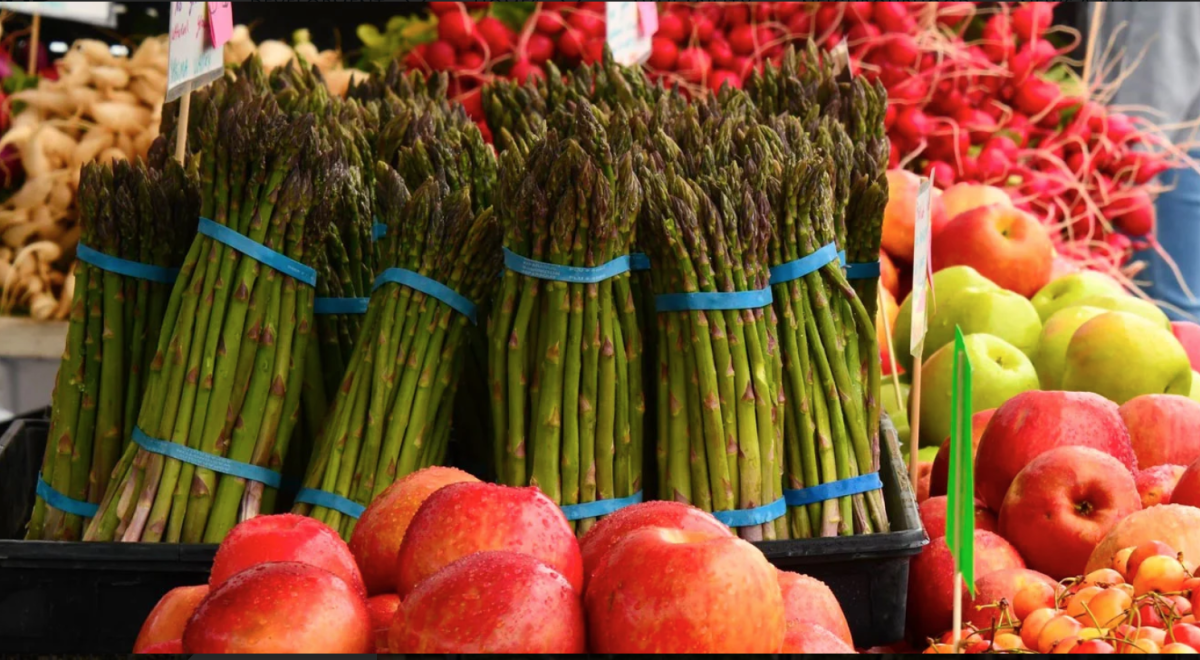 曼彻斯特·维多利亚河畔 Victoria Riverside 配套